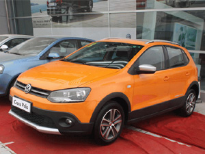 Cross Polo r